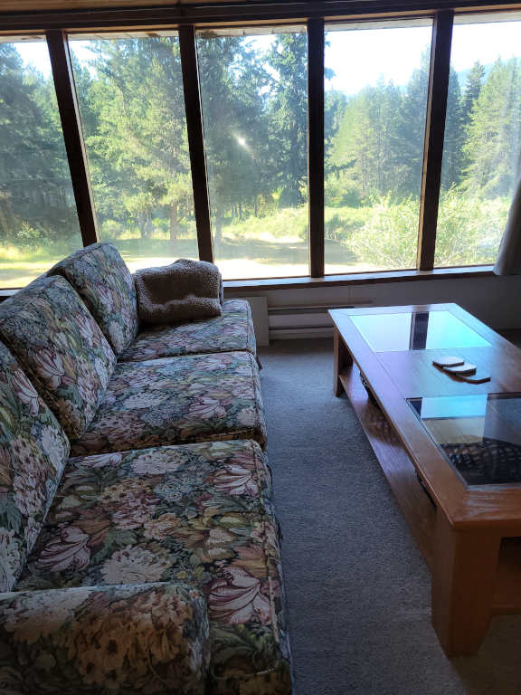 Couch and Forest View Windows